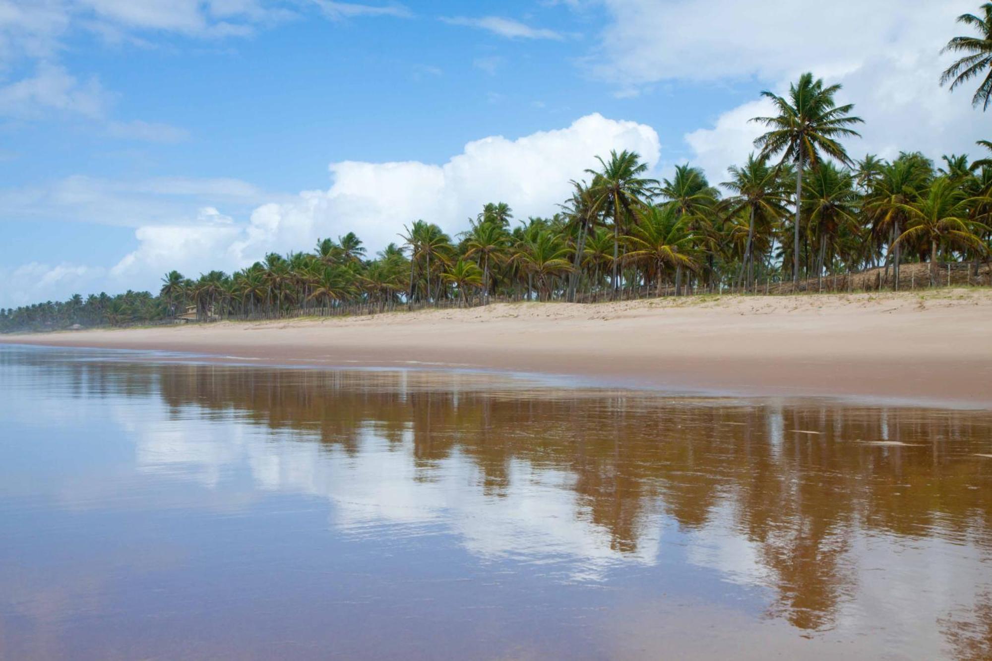 Grand Palladium Imbassai Resort & Spa Екстер'єр фото Beach in Cabo de la Vela